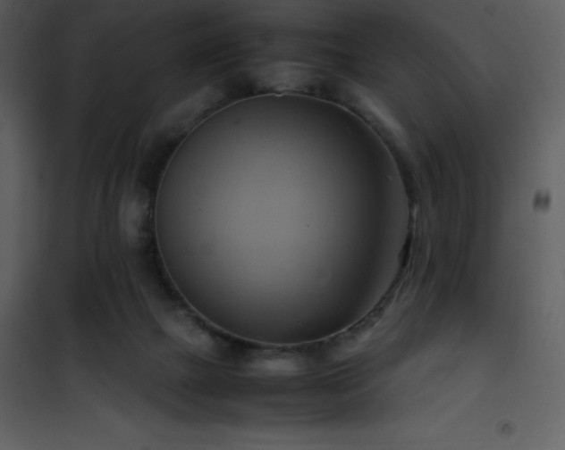 X0000102010073200807181238