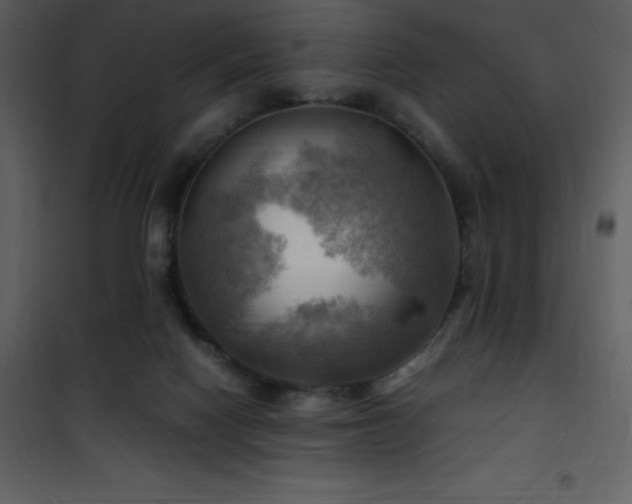 X0000102010074200807181238
