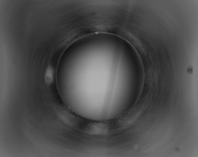X0000102010075200807181238