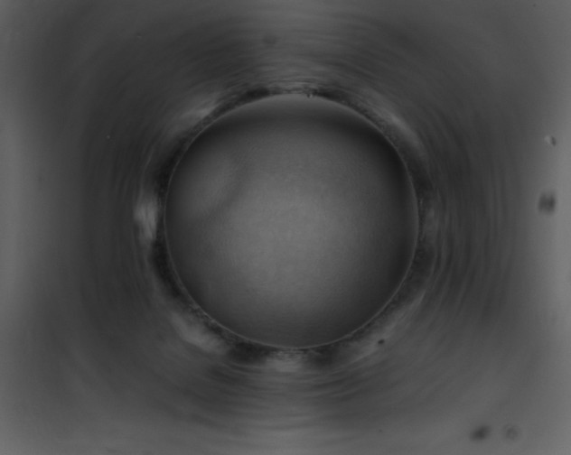 X0000102010076200807181238