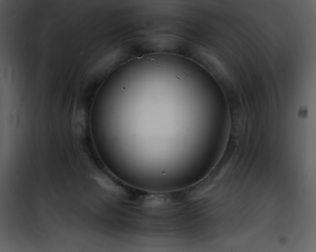 X0000102010077200807181238