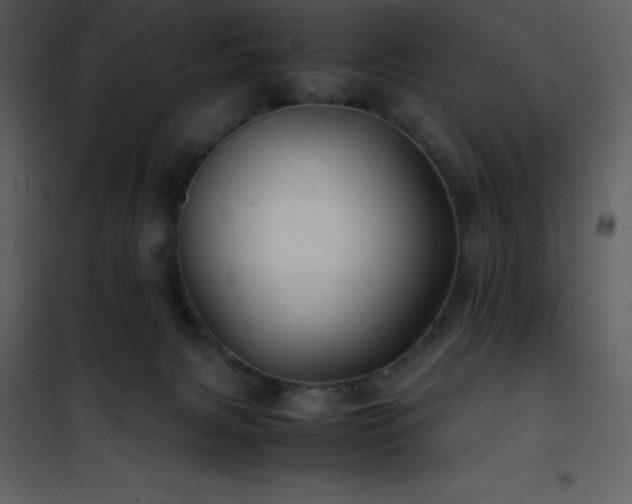 X0000102010079200807181238