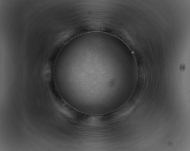 X0000102010080200807181238