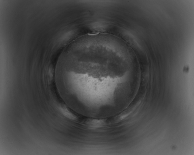 X0000102010081200807181238