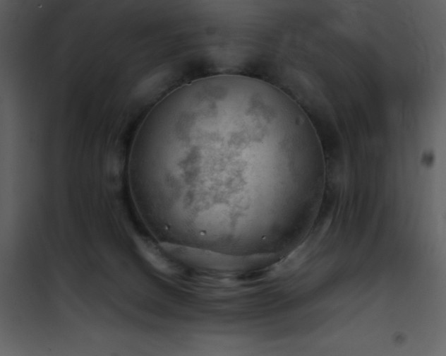 X0000102010082200807181238