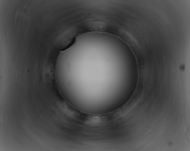 X0000102010083200807181238