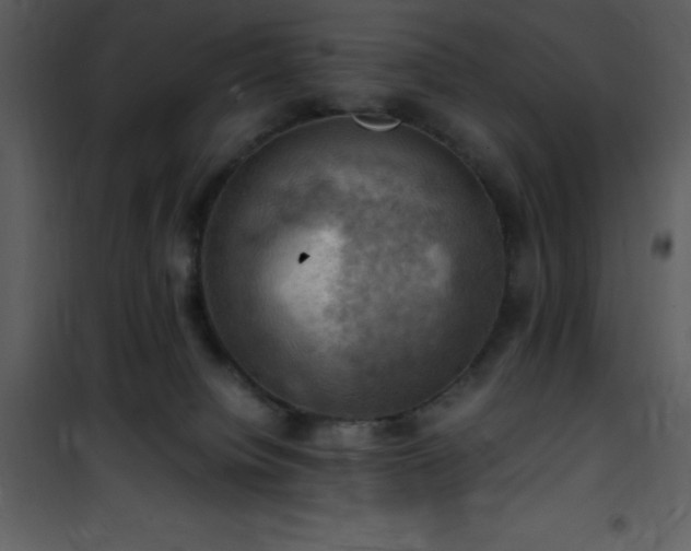 X0000102010084200807181238