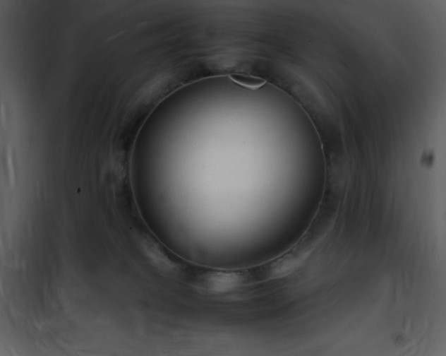X0000102010085200807181238