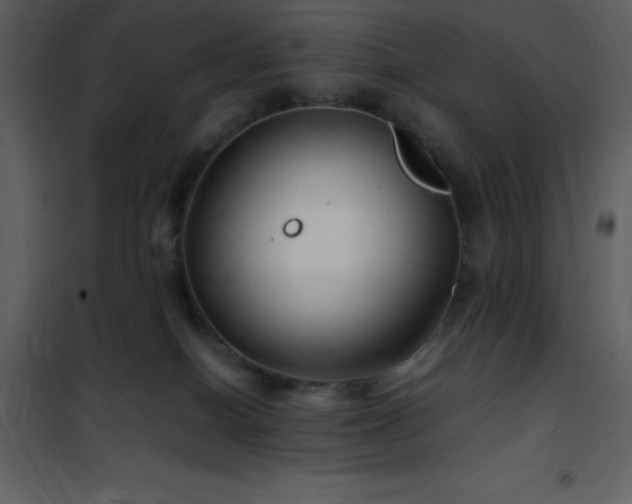 X0000102010086200807181238