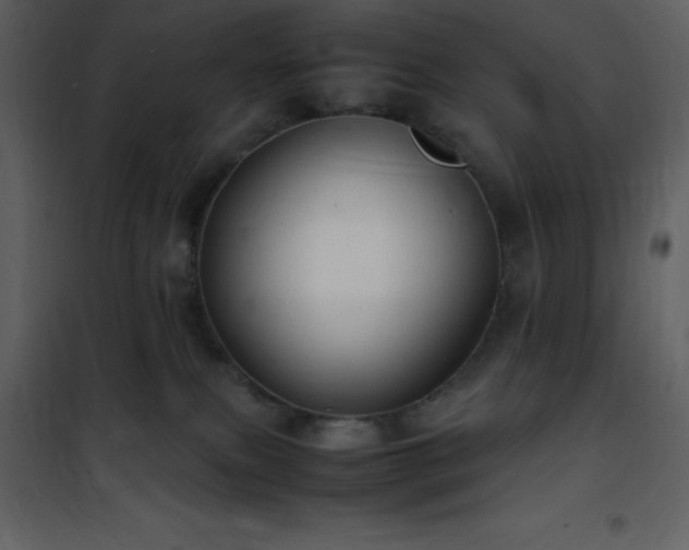 X0000102010087200807181238