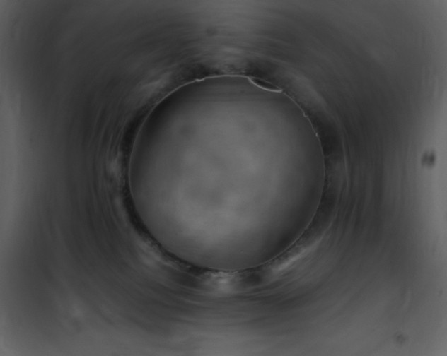 X0000102010088200807181238