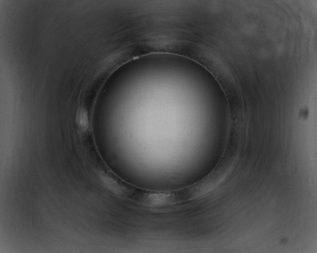X0000102010089200807181238