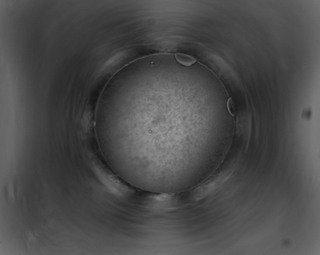 X0000102010092200807181238