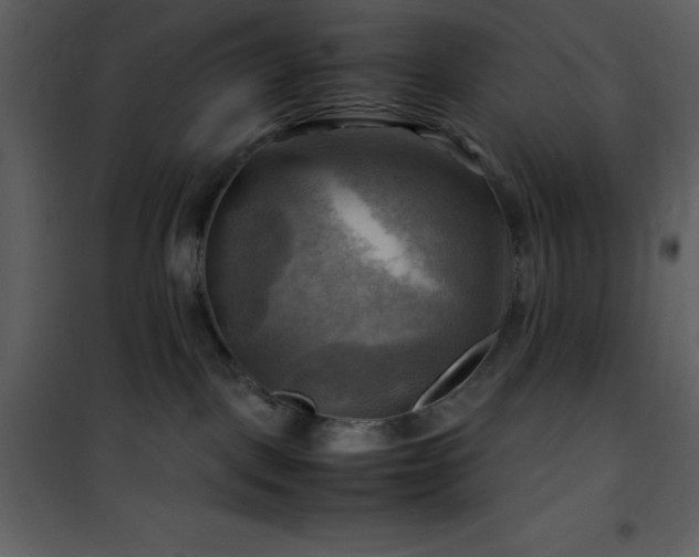 X0000102010093200807181238