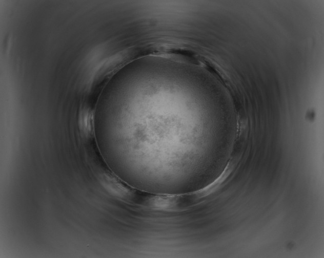 X0000102010094200807181238