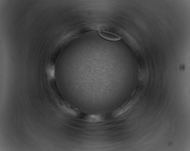 X0000102010095200807181238