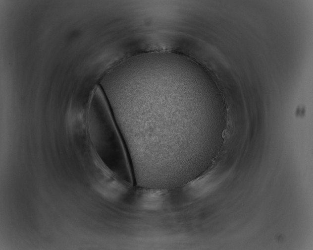 X0000102010096200807181238