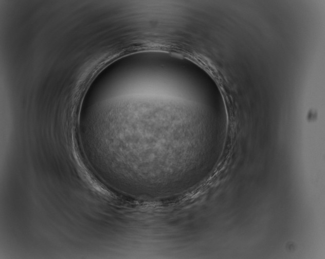 X0000102010097200807181238