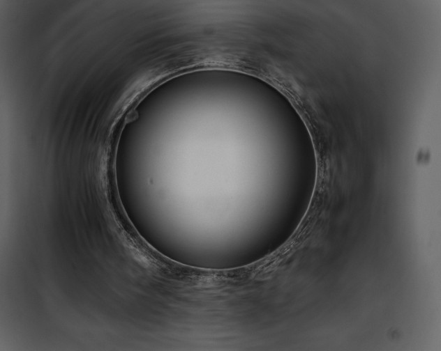 X0000102010098200807181238