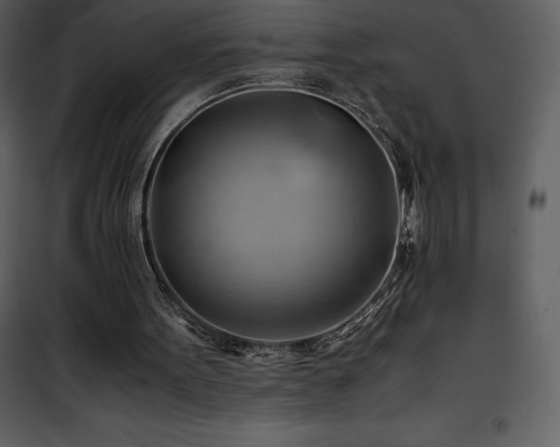 X0000102010099200807181238