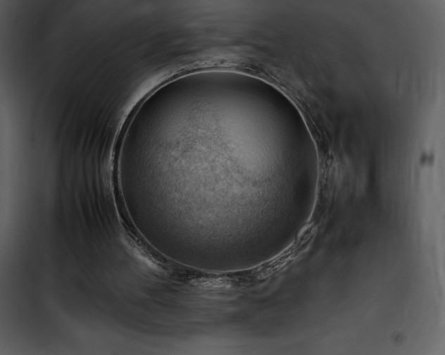 X0000102010100200807181238
