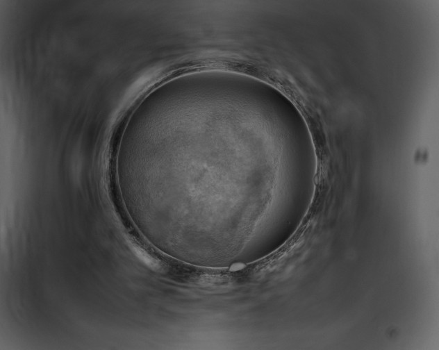X0000102010101200807181238