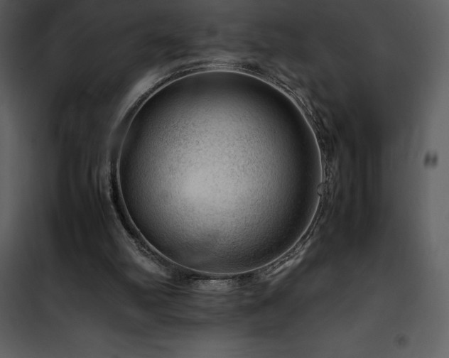 X0000102010102200807181238