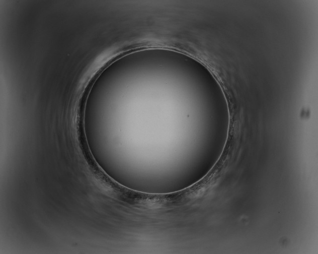 X0000102010103200807181238