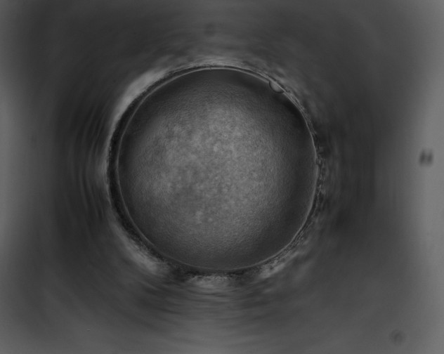 X0000102010104200807181238