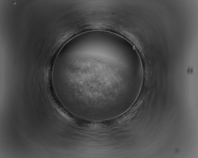 X0000102010105200807181238