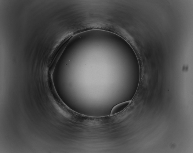 X0000102010106200807181238