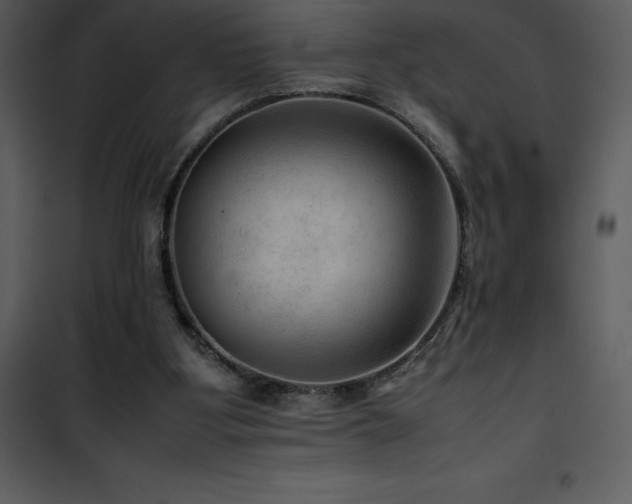 X0000102010107200807181238