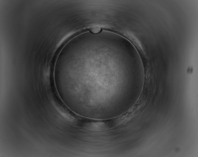 X0000102010108200807181238