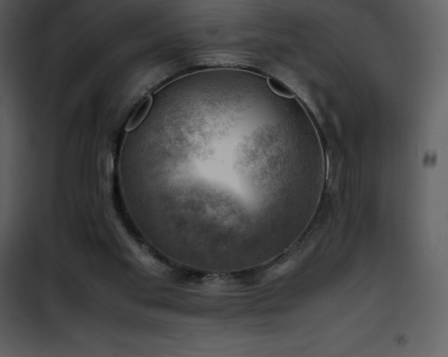 X0000102010109200807181238
