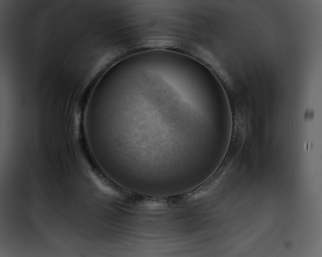 X0000102010110200807181238