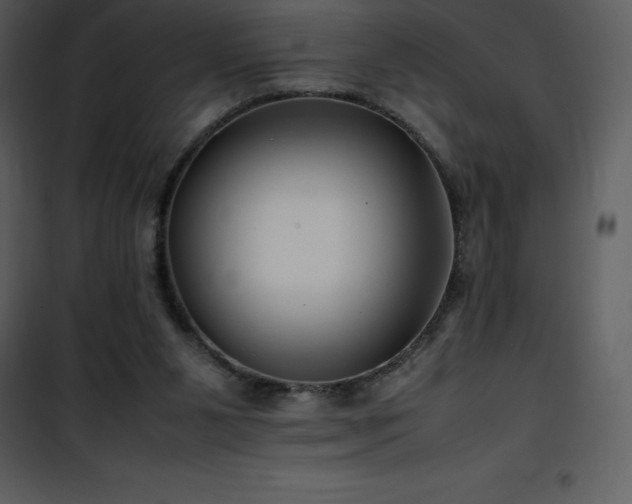 X0000102010111200807181238