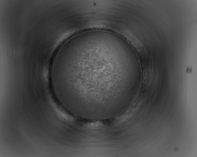 X0000102010112200807181238