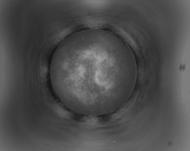 X0000102010113200807181238
