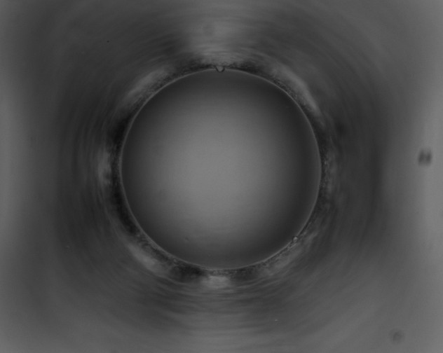 X0000102010114200807181238