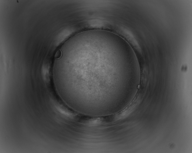X0000102010116200807181237