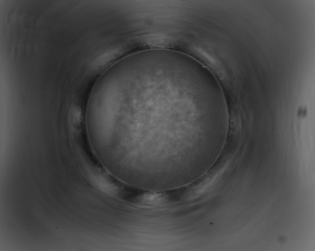 X0000102010117200807181237