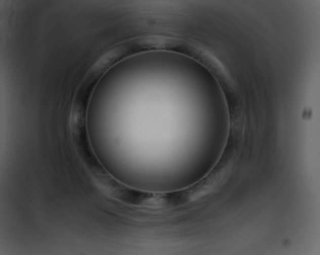 X0000102010119200807181237