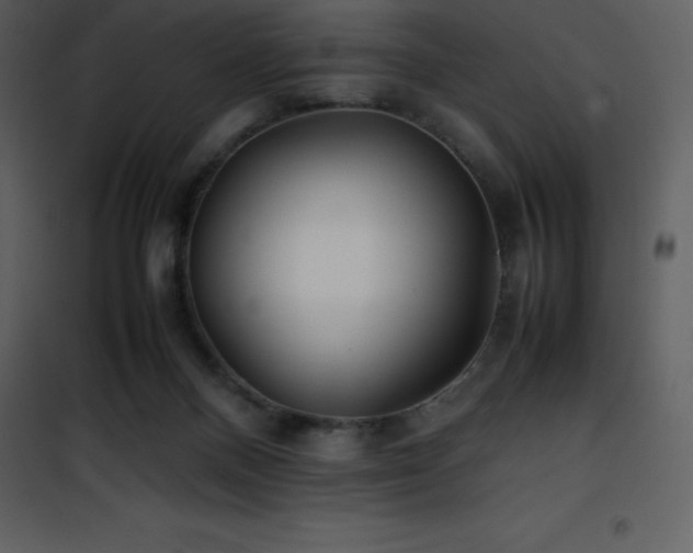 X0000102010120200807181237