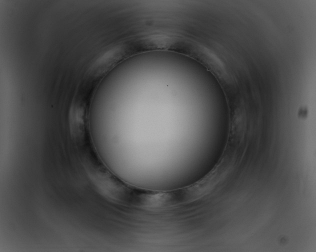 X0000102010122200807181237