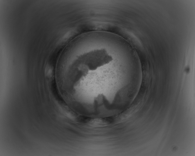 X0000102010123200807181237