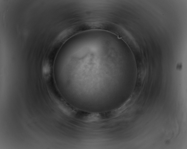 X0000102010124200807181237