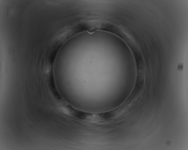X0000102010125200807181237