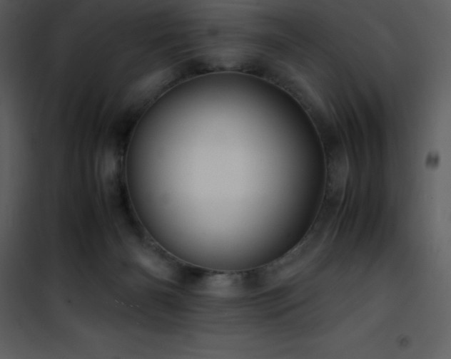 X0000102010126200807181237