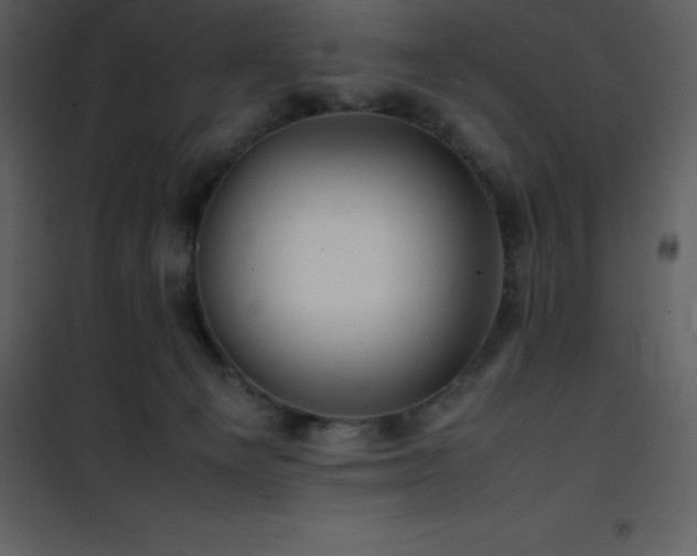 X0000102010129200807181237