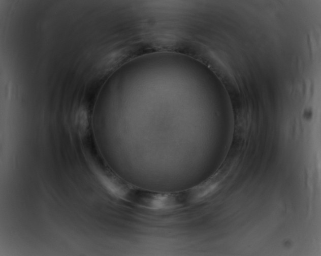 X0000102010130200807181237